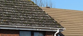 Gutter and roof cleaning in Guildford and Godalming